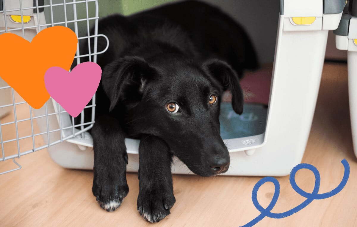 safe-space-blog-feature-1