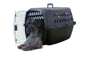 Petmate_Carousel_Crate