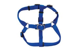 Petmate_Carousel_Harness